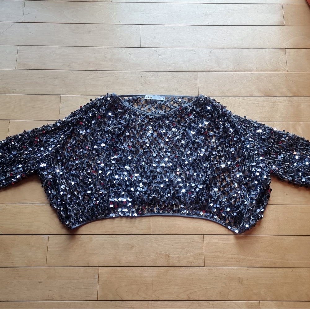 Slouchy glitter crop mesh top